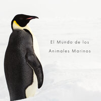 Pingüino Furtivo - Academia de Sonidos de la Naturaleza para Dormir & Academia de Música del Sueño