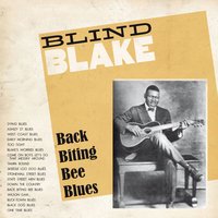 Down the Country - Blind Blake