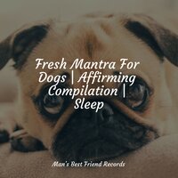 Massage Music - Music for Calming Dogs & Music for Pets Library & Music for Dog's Ears