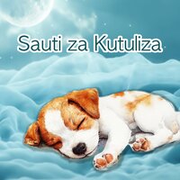 Heartbeats for Dogs (Womb Sounds for Puppies), Pt. 20 - Wombsounds