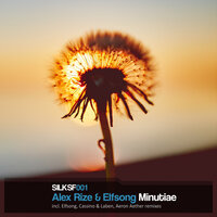 Minutiae - Elfsong & Alex Rize