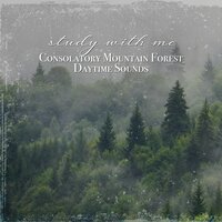 Consolatory Mountain Forest Daytime Sounds, Pt. 19 - Sebastian Riegl