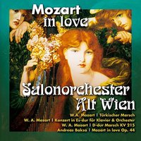 Mozart In Love, Op 44: Cherchez la Femme - Salonorchester Alt Wien