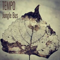 Jungle Bus - Tempo