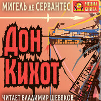 Мигель де Сервантес Сааведра. «Дон Кихот Ламанчский». Часть 29 - Владимир Шевяков