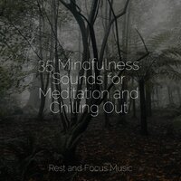 Tumbling Outward - Relaxamento & Chillout Lounge & Sleep Meditation Dream Catcher