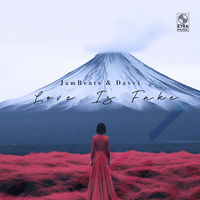 Love Is Fake - JamBeats & Davvi