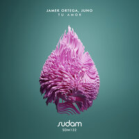 Tu Amor - Jamek Ortega & Juno (DE) & Kintar