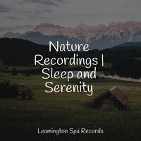 Ambient Noise - The Relaxing Sounds of Water & Tailormade Ocean Waves & Deep Sleep Music Delta Binaural 432 Hz