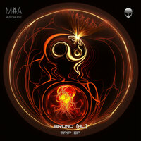 Vibe - Bruno (HU)