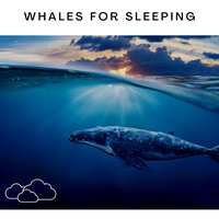 Whales for Sleeping, Pt. 06 - Ocean Radiance & ASMR Earth & Loopable Radiance
