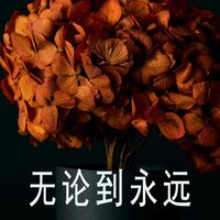 疯狂的蓝调 - 宝宏浚