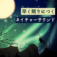 マントラ森林環境音 - 寝落ち空間