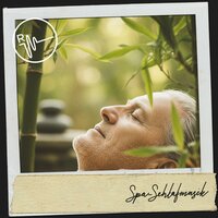 Träumerei unter den Sternen - Música Relajante Para Leer & Sleeping Music & Entspannungsmusik
