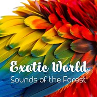 In the Middle of the Jungle - Mothers Nature Music Academy