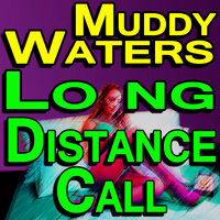 Who's Gonna Be Your Sweet Man - Muddy Waters