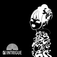 Limelight - The Insiders