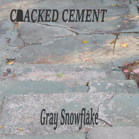 You Got It All - Gray Snowflake