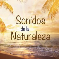 Meditación de Atención Plena - Melissa Calma