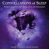 The Whimsical Supernova - Night Sounds Association