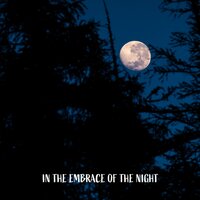 Lurking Dusk - Sleep Cycles Music Collective