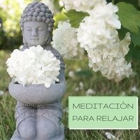 Sanar el Alma - Meditacion Budista Maestros