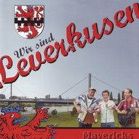 Hell in der Nacht - Mavericks