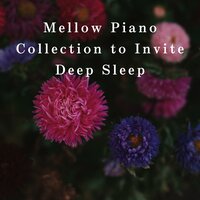 Piano Sleep Persuasion - Relaxing Bgm Project