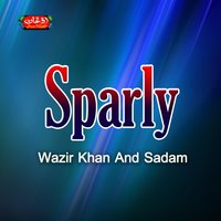 Sta Da Darogho Pa Wado - Wazir Khan