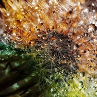 Drops of You - Sounds Of Nature: Thunderstorm & Música de la Naturaleza & Sleep Sounds Library
