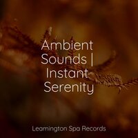 Massage Spa - Meditation Music Club & Rain for Deep Sleep & Nature Chillout