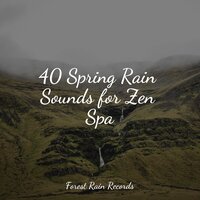 Gentle Rain Drops - Academia de Música para Massagem e Relaxamento & Nature Recordings & Relaxation