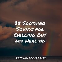 Black and White Solos - Natureza Musica Bem-Estar Academia & Massage Tribe & Buddhist Meditation Music Set