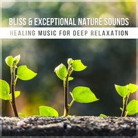 Positive Thoughts (Busy Mind) - Lovely Nature Music Zone