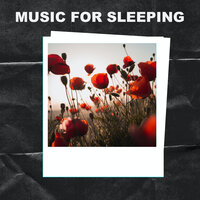 Soft Melody - Music For Sleeping & Hard Sounds of Mother Earth