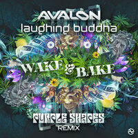 Wake & Bake - Avalon & Laughing Buddha & Purple Shapes