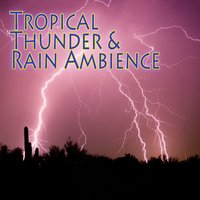 Tropical Thunder - Nature's Sounds