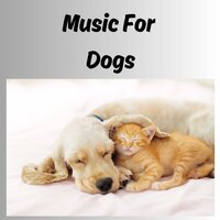 Doggie Day Dreaming - Music for Dogs & Music for Dogs Peace & Relaxing Puppy Music & Calm Pets Music Academy