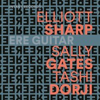 Addressing the Convention - Tashi Dorji & Sally Gates & Elliott Sharp