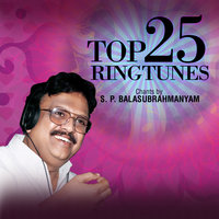 Ayyapaa Shloka (Bhoota-natha Sadaananda) - S. P. Balasubrahmanyam