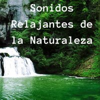 Pensamientos Tranquilos - Melissa Calma