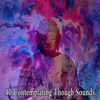 Фантастическое чудо - Zen Meditation
