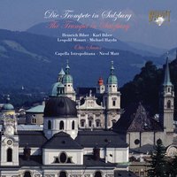 I. Vivace - Otto Sauter