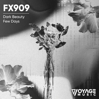 Few Days - FX909