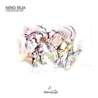 Freedom In Music - Nino Bua & Dani Lehman