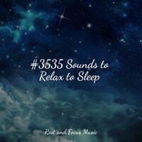 Swaying Calmness - Study Music & Soothing Chill Out For Insomnia & Meditation Music Experience