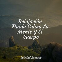 Corrientes Sinuosas - Ruido Blanco Para Bebes & Relajante Academia de Música Zen & Yoga Para Ninos