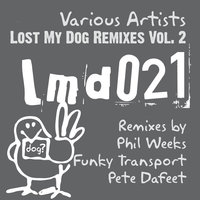 Lungs - Pete Dafeet