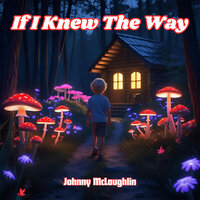Dawn Has a New Age - Johnny Mclaughlin