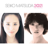 Anohino Tsumetai Ame - Seiko Matsuda